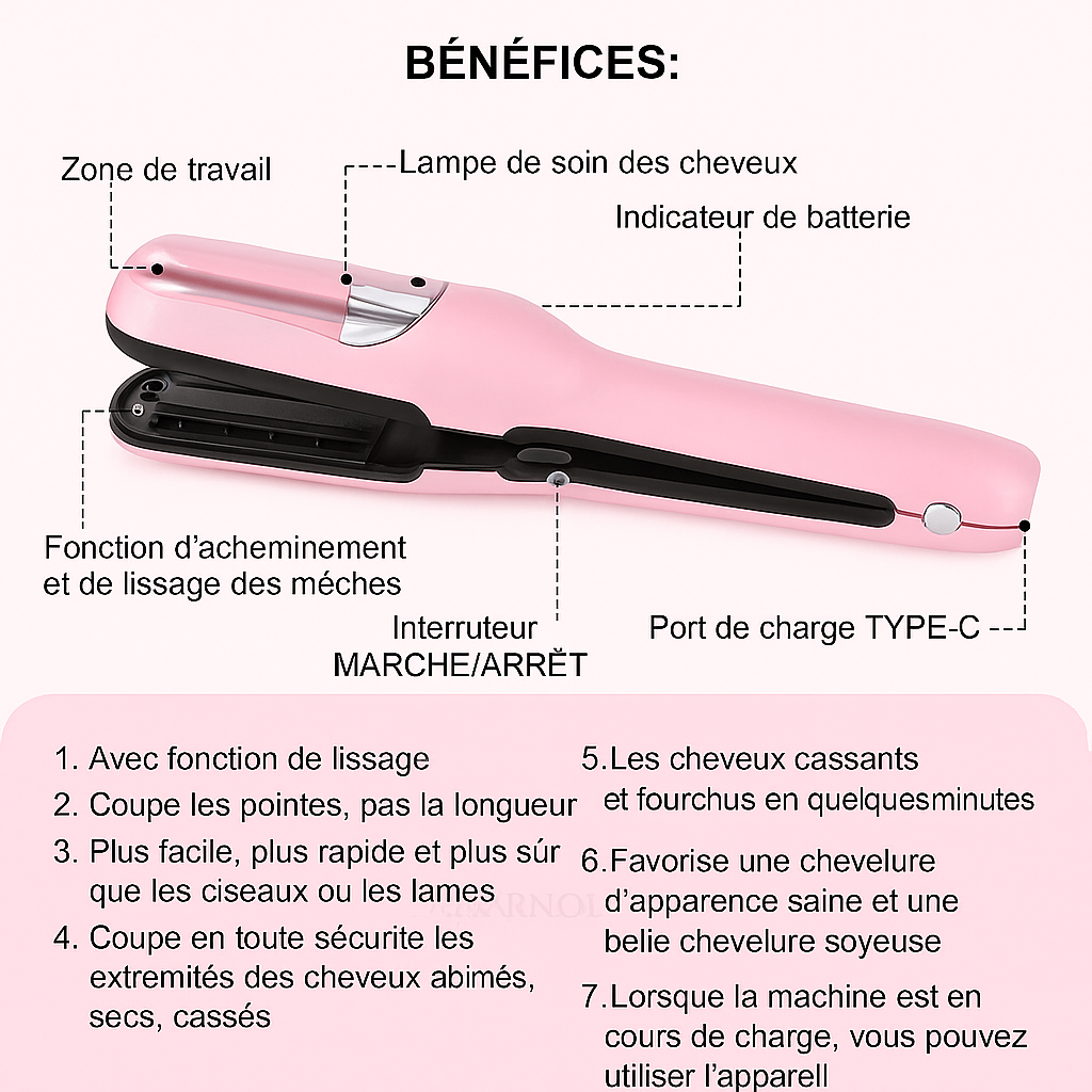 Brosse Coupe-Pointes Fourchues